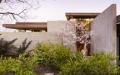 Matthew Millman, Aidlin Darling Architects Marin Home Tours